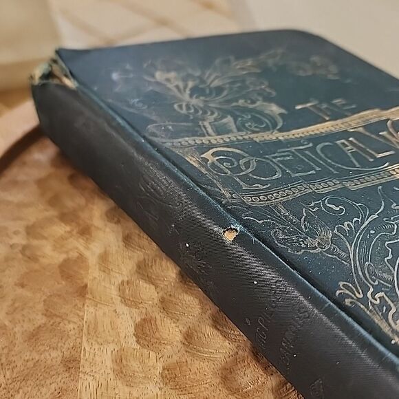The Poetical Works of Sir Walter Scott Hardback Cloth Bound Book - Picture 5 of 15
